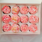 12 x Baby Shower Cupcakes 